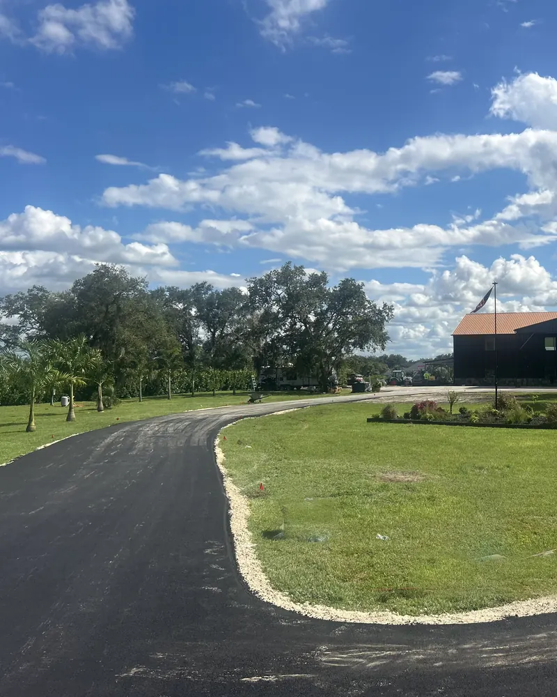 Fresh asphalt driveway under Spanish moss oaks and a sabal palm