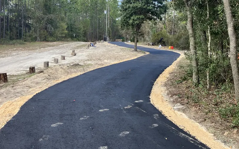 Freshly paved asphalt drive winding through sandy pine woods
