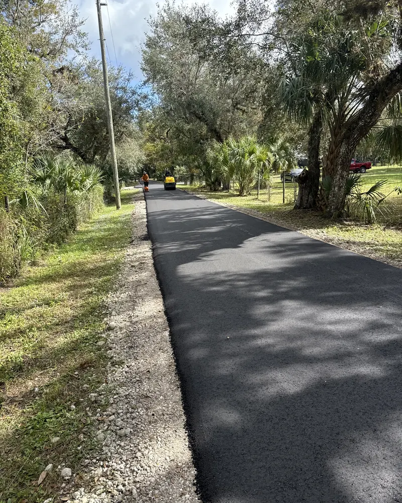 New asphalt road lined with oaks and palms