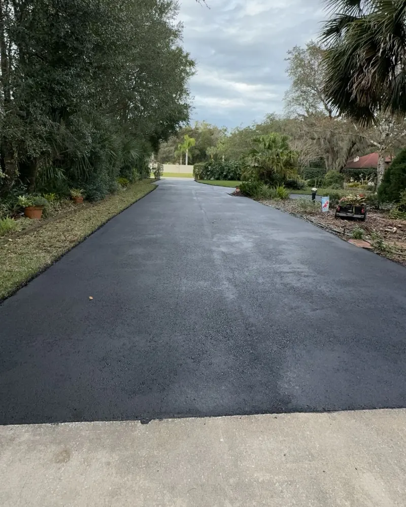 Freshly paved asphalt driveway under oak trees and a palm