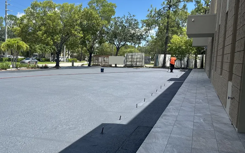 Freshly sealcoated office parking lot lined with palm trees
